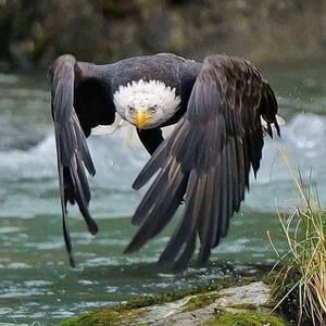 Meet your Posher, Keith